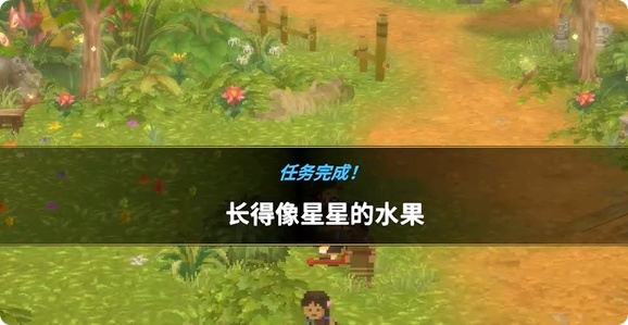 潜水员戴夫杨桃支线速通指南 