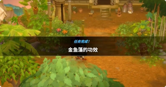 潜水员戴夫金鱼藻支线全流程详解
