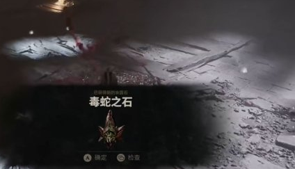 致命躯壳2毒蛇之石入手流程