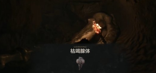 致命躯壳2腺体位置与高塔献祭流程汇总