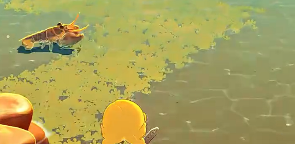 星布谷地海岸稀有生物木头侠抓捕教学
