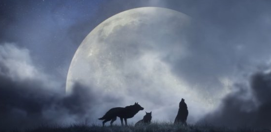 会赢的！《黎明行者之血》限时成就只争朝夕速通思路
