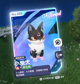 三次机会，《伊莫》闪耀小炭犬刷取技巧