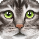终极猫模拟器汉化版