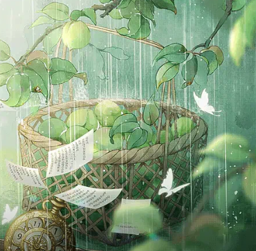 微雨青梅时