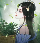 赴烟雨