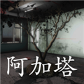 孙美琪疑案阿加塔