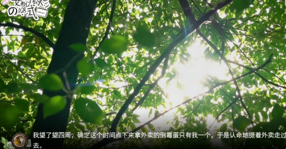 女配摆烂的108式截图3