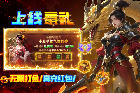 疾风之翼截图1