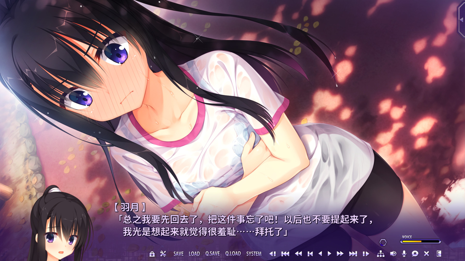 Riddle Joker冷狐版截图4