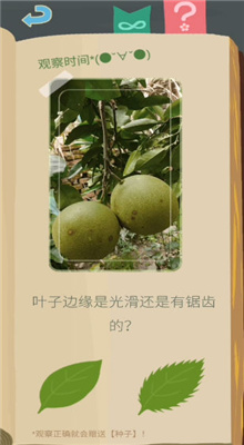 老农种树截图2