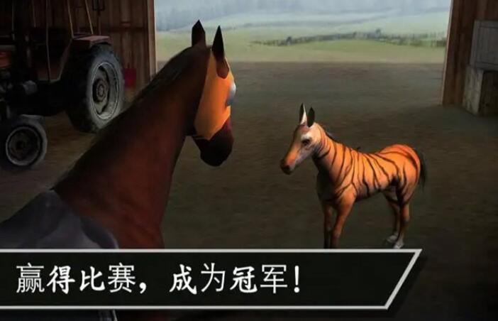 赛马赢得杯赛挑战截图2