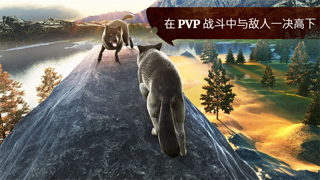 狼族截图5