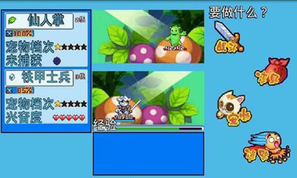 宠物王国5彩虹截图1