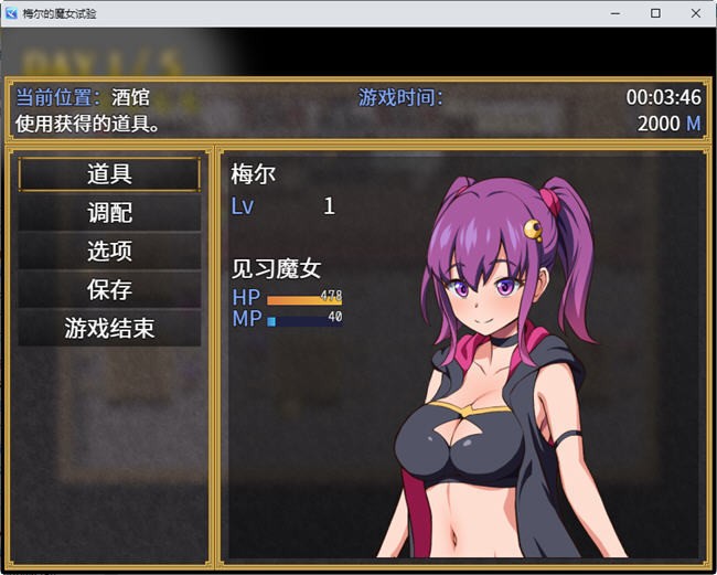 梅尔的魔女试验截图2