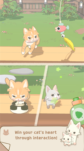 窗外的猫截图2