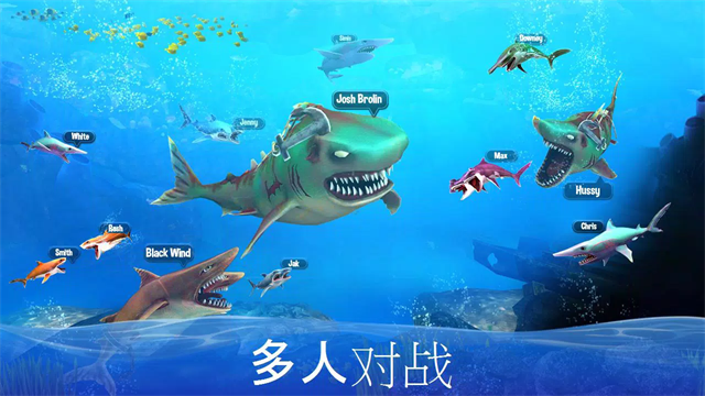 双头鲨截图3