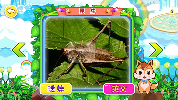 宝宝儿童动物世界截图4