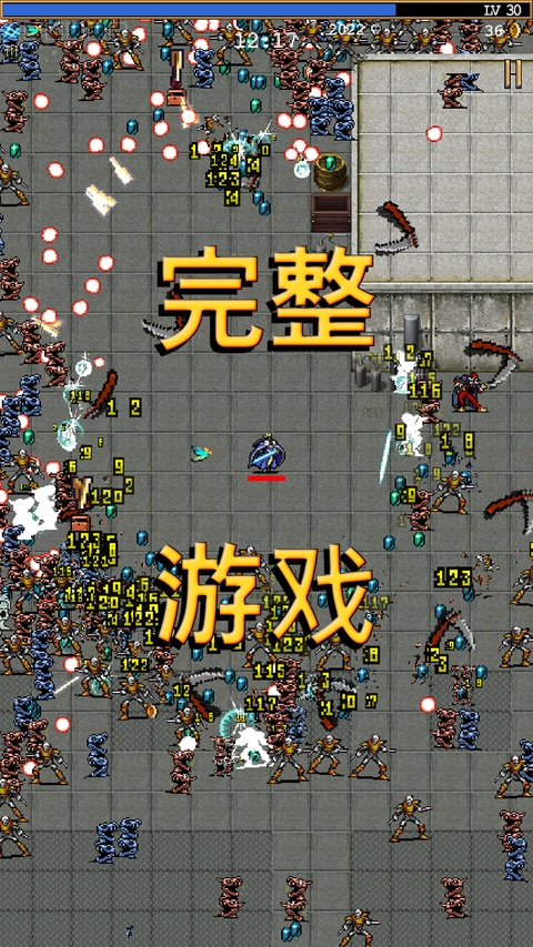 吸血鬼幸存者截图4