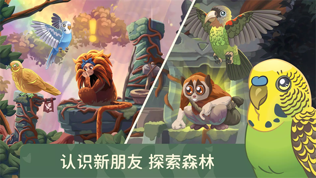 鸟类世界截图2