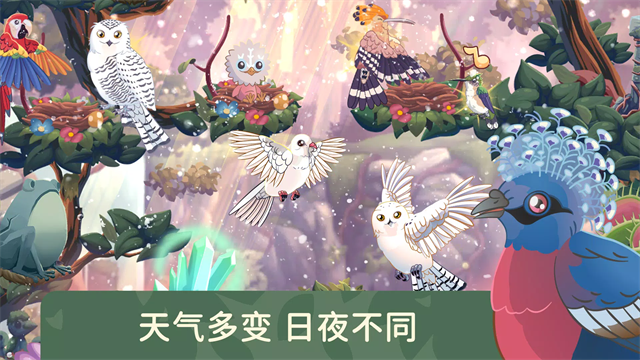 鸟类世界截图3