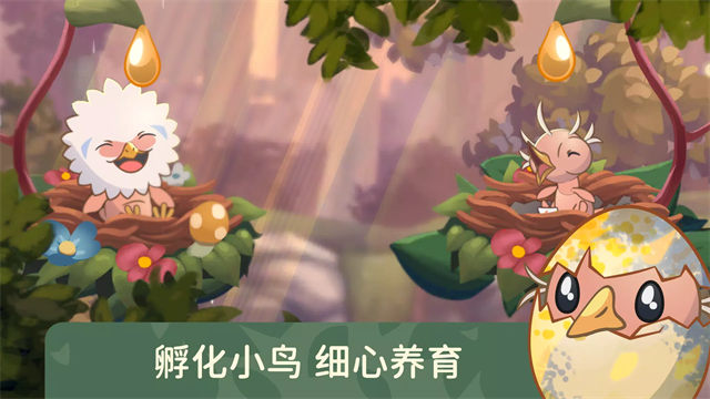 鸟类世界截图4