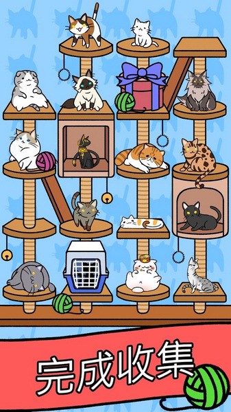 猫咪公寓截图2