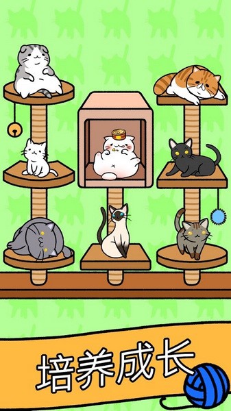 猫咪公寓截图3