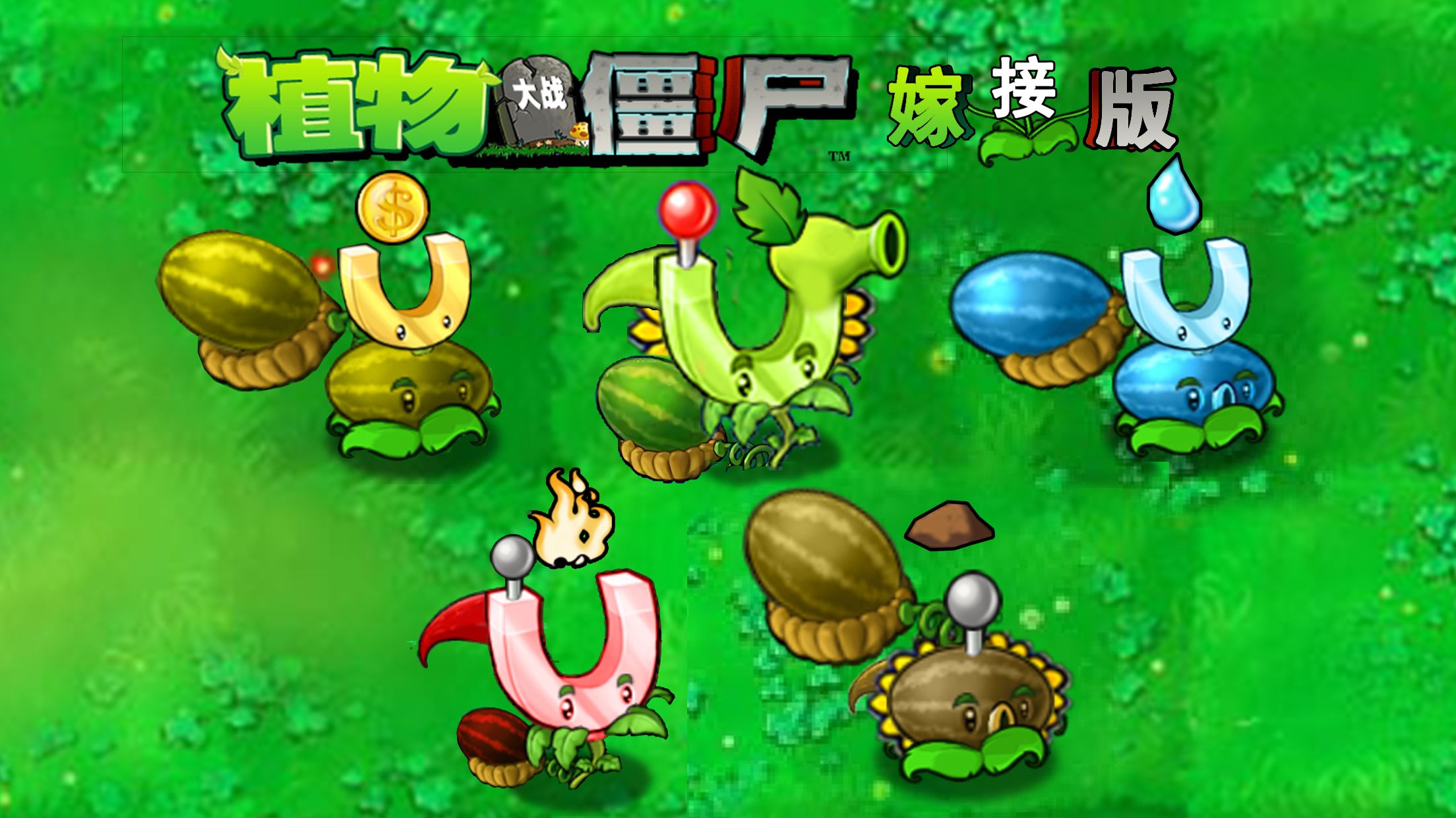 植物大战僵尸嫁接版截图3