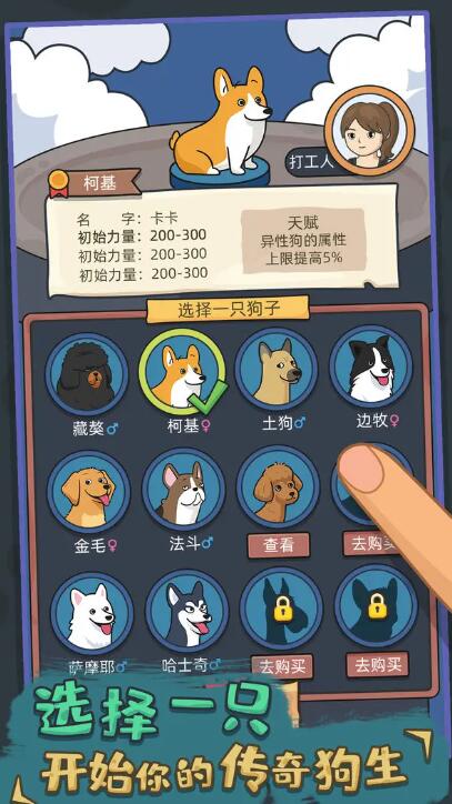 狗生模拟器无限金币版截图2