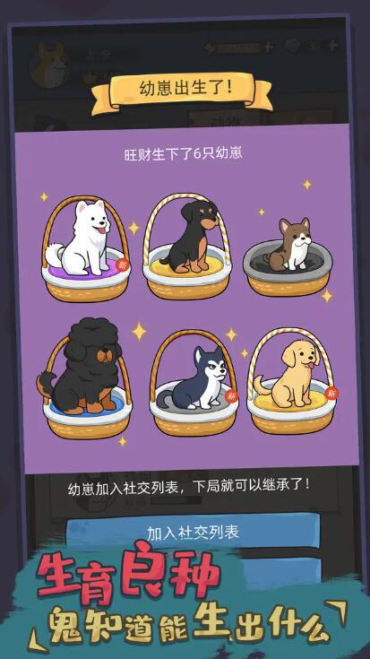 狗生模拟器无限金币版截图4