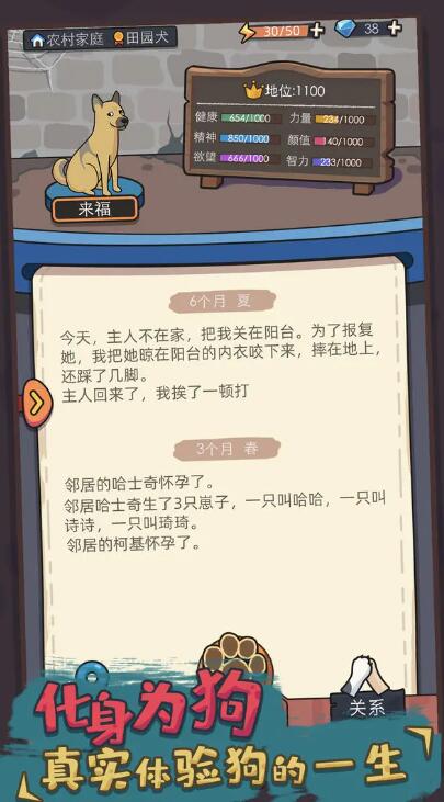 狗生模拟器无限金币版截图5