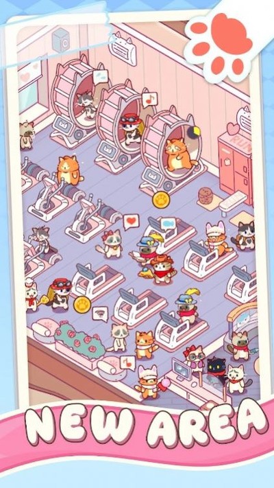 猫咪健身房截图4