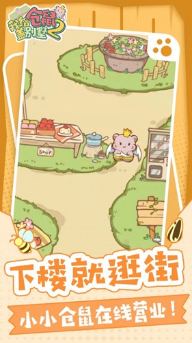 我给仓鼠盖别墅2免广告版截图4