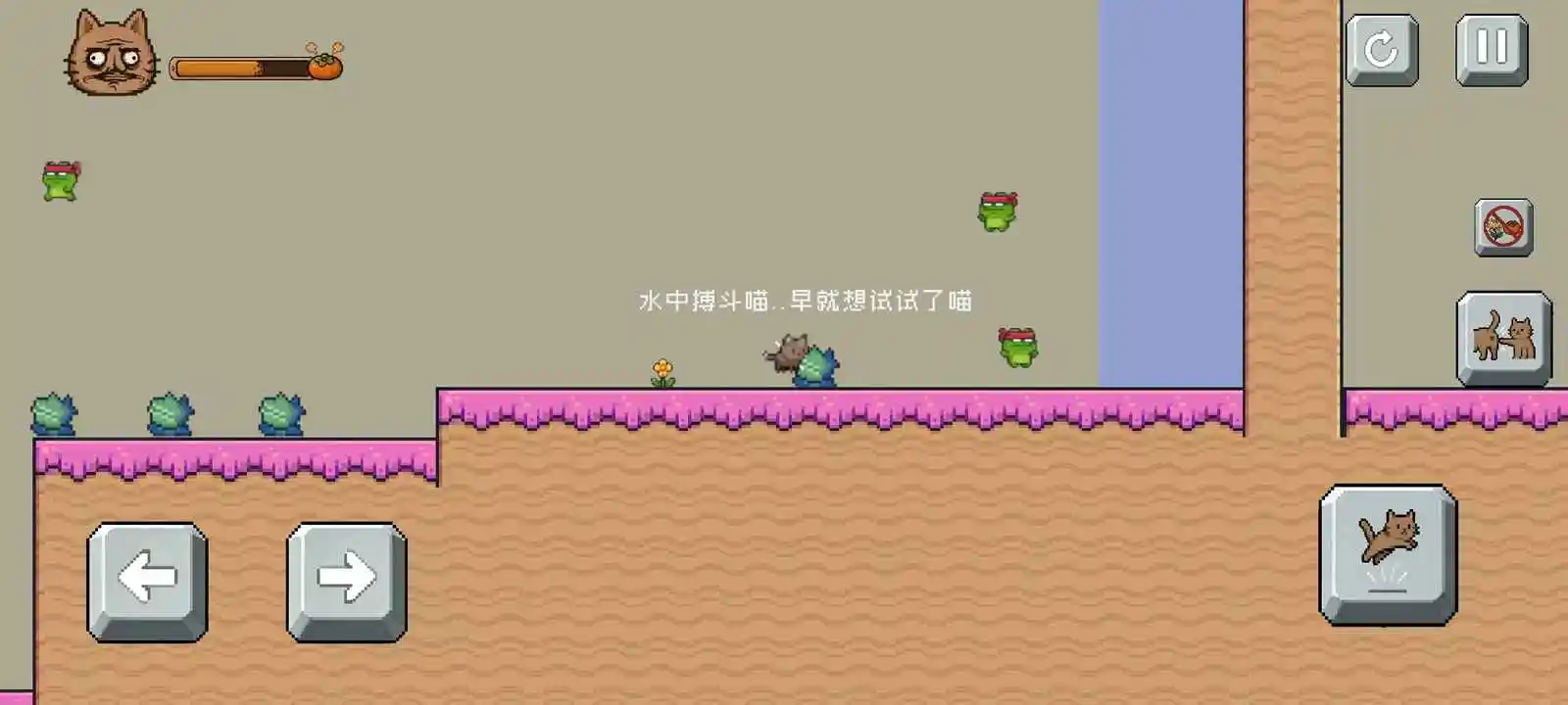 药柿了喵截图4