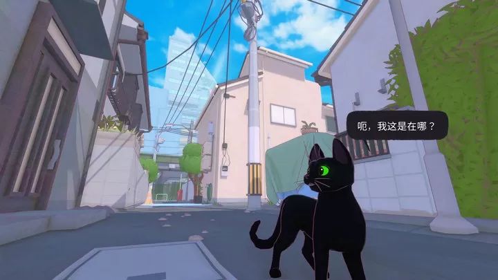 小猫咪大城市免费版截图2