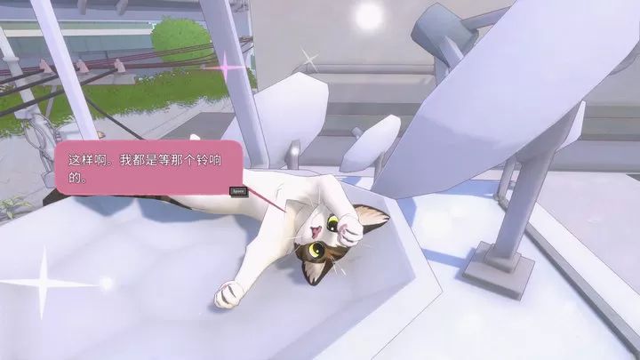 小猫咪大城市免费版截图4