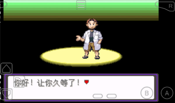 口袋妖怪漆黑的魅影截图1