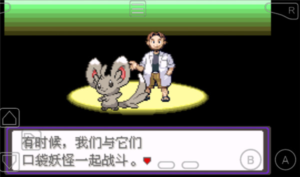口袋妖怪漆黑的魅影截图5