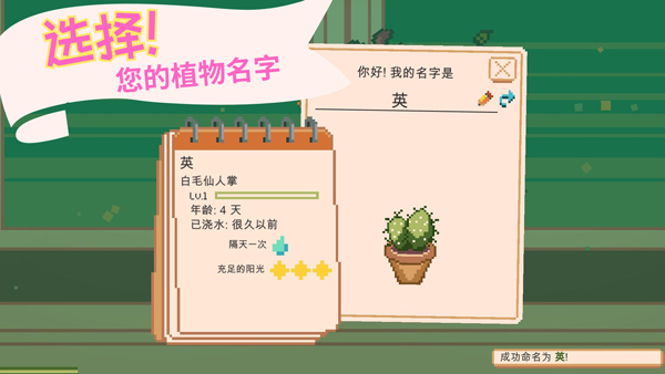 窗口花园无广告版截图2