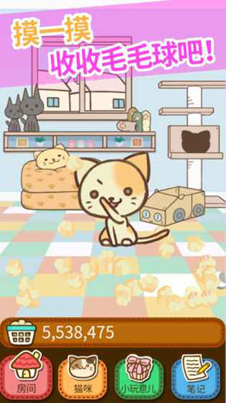 猫咪的毛截图3