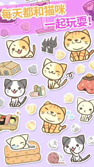 猫咪的毛截图5