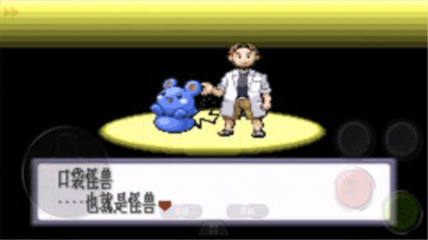口袋妖怪红宝石截图3