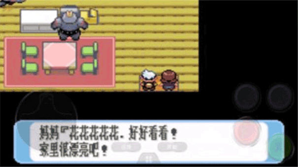 口袋妖怪红宝石截图4