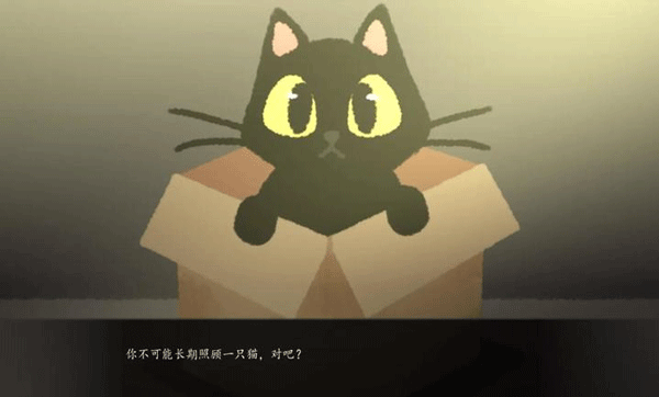 别带这只猫回家截图2