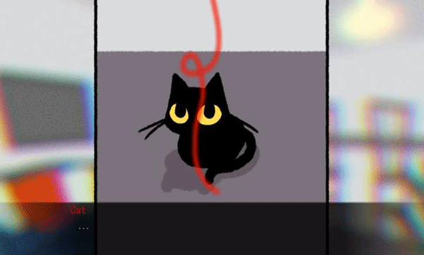 别带这只猫回家截图3