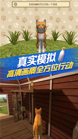 猫咪生存模拟器中文版截图4