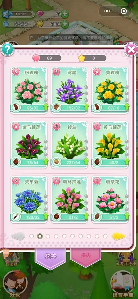 鲜花小镇截图3
