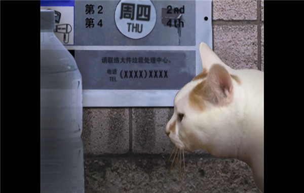 翌日猫之怪奇谭截图3