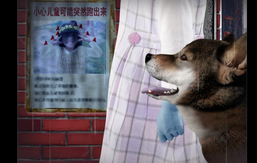 翌日波奇狗的历险记中文版截图2